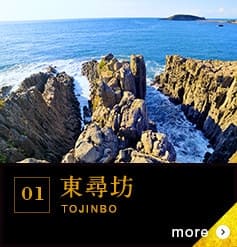 01 東尋坊
