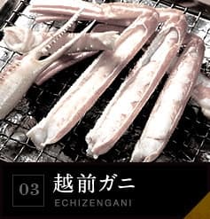 03 越前ガニ