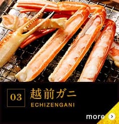 03 越前ガニ