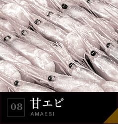 08 甘エビ