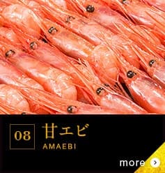 08 甘エビ