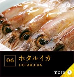 06 ホタルイカ