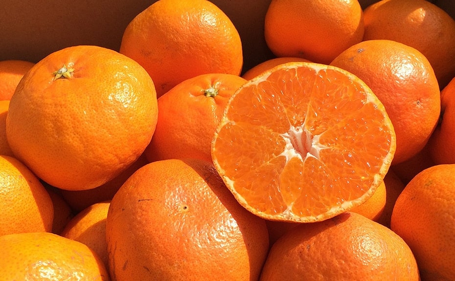 J賞 石丸農園産甘平 約3kg（10名様）