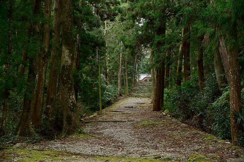 坂の先には、五穀豊穣や縁結びの神様・オオゲツヒメを祀る上一之宮大粟神社が建つ