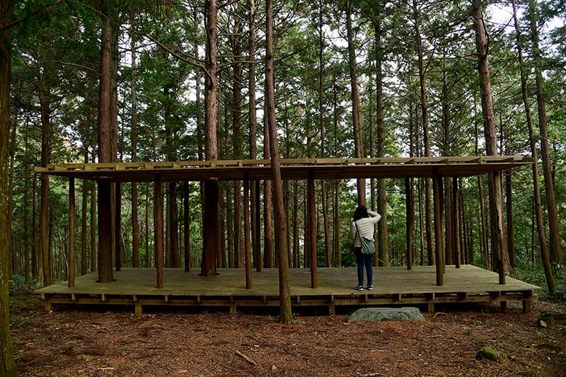 イヴァン・フアレス〈IN BETWEEN-hinoki＋sugi pavilion〉2017