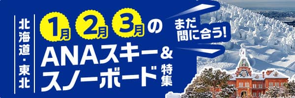 まだ間に合う！ 1月・2月・3月の北海道・東北 ANAスキー＆スノーボード特集