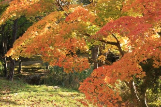 大沼国定公園