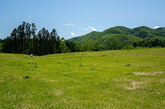 垣ノ島遺跡