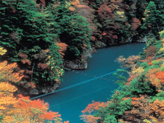 写真提供:静岡県観光協会