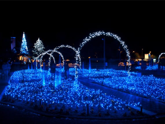 写真提供：三重県観光連盟