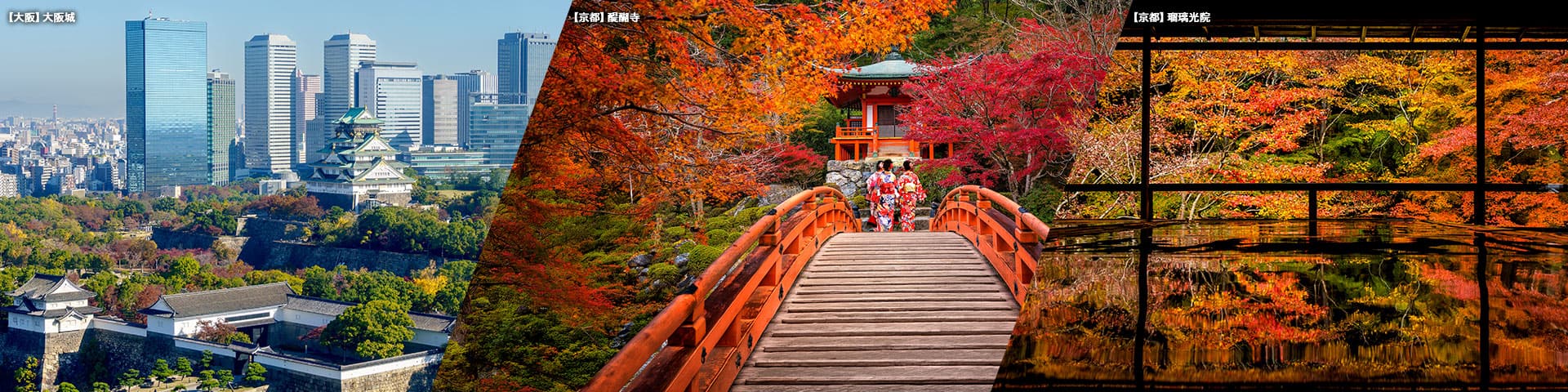 大阪 大阪城/京都 醍醐寺/京都 瑠璃光院