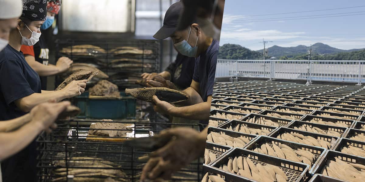 鰹節作業風景 鰹節天日干し