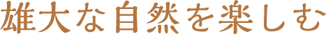 雄大な自然を楽しむ