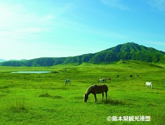 熊本県観光連盟