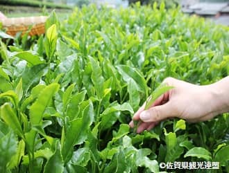 🄫佐賀県観光連盟