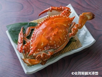 🄫佐賀県観光連盟