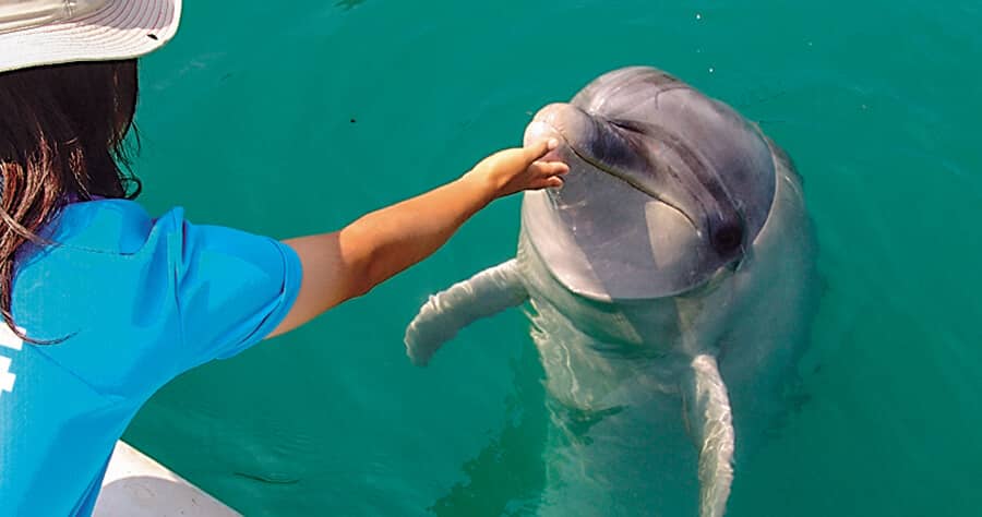 壱岐イルカパーク＆リゾート(壱岐)　イメージ