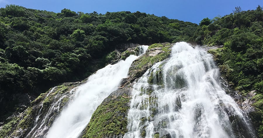 ⼤川の滝（画像）
