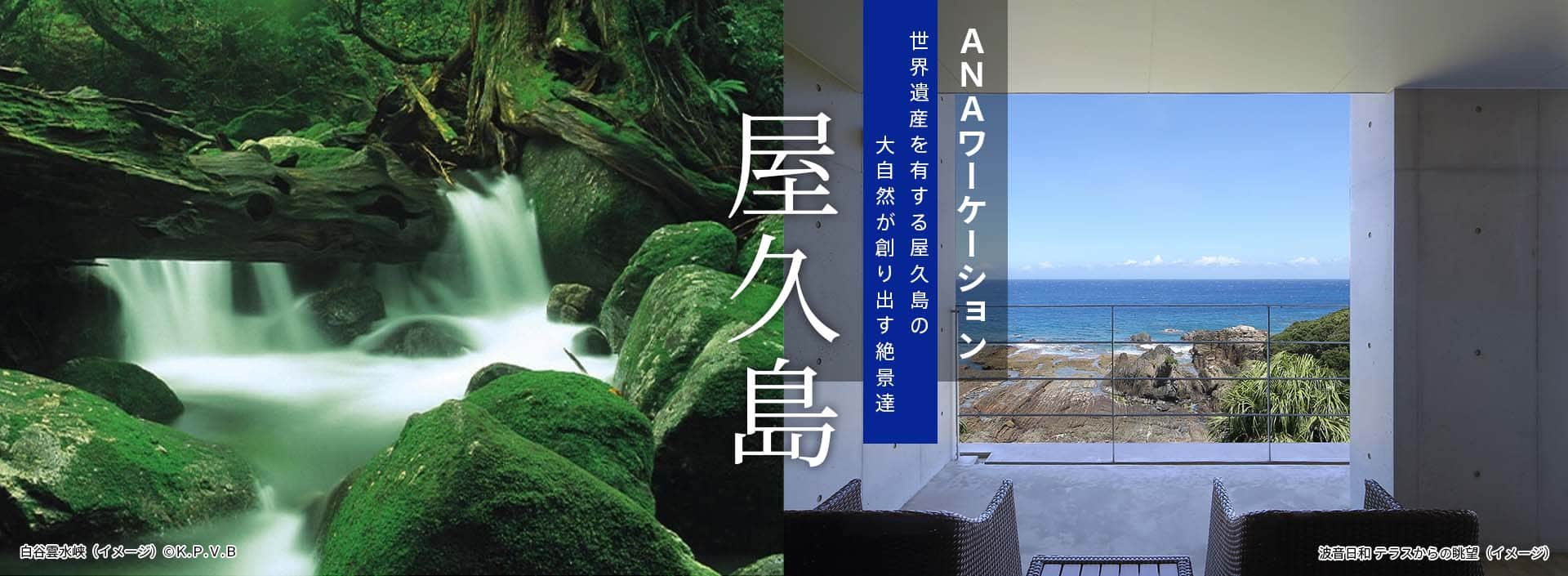 ANAワーケーション熊本