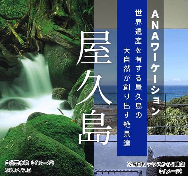 ANAワーケーション熊本