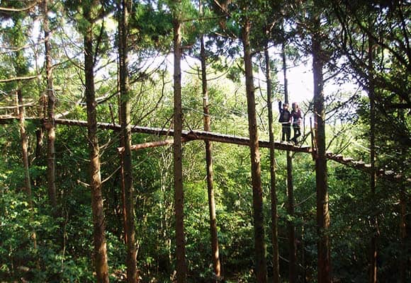 旅館桐乃湯 温泉