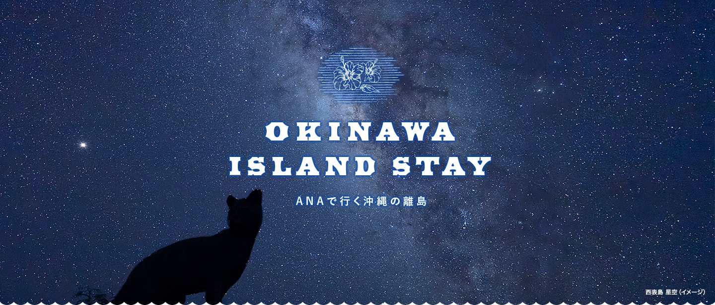 西表島　星空（イメージ）