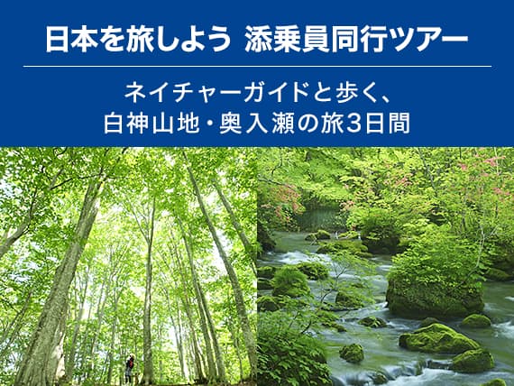日本を旅しよう　添乗員同行ツアー