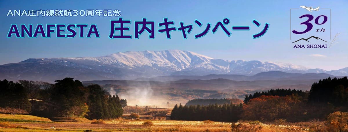 ANA庄内線就航30周年記念 ANAFESTA 庄内キャンペーン