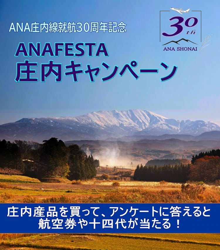 ANA庄内線就航30周年記念 ANAFESTA 庄内キャンペーン
