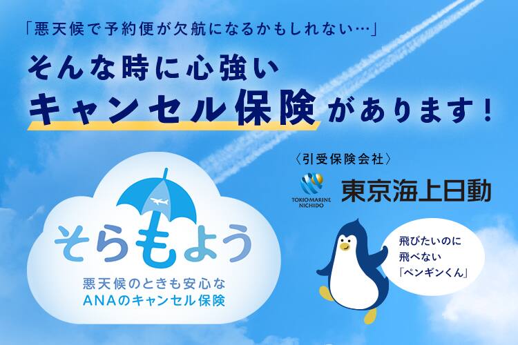 キャンセル 電話 Ana ANAの飛行機をキャンセルしたい！払い戻しはできるの？