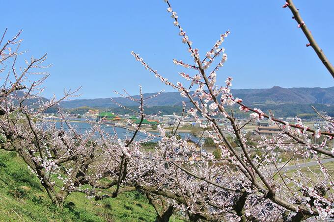 心と体のデトックス うっとり鳥取ana 心と体のデトックス うっとり鳥取ana