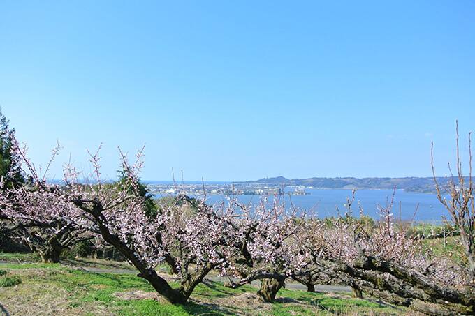 心と体のデトックス うっとり鳥取ana 心と体のデトックス うっとり鳥取ana