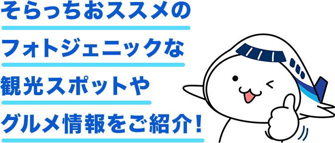 そらっち散歩 広島 Ana国内線