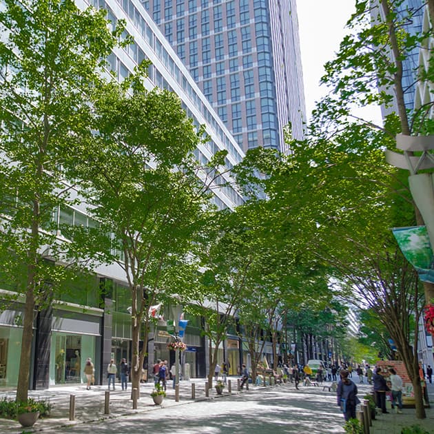 そらっち散歩 東京 Ana国内線