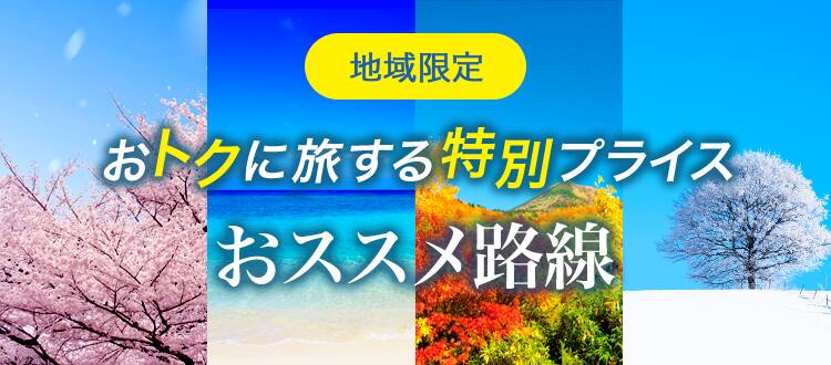 地域限定 おトクに旅する特別プライス 航空券 Ana国内線