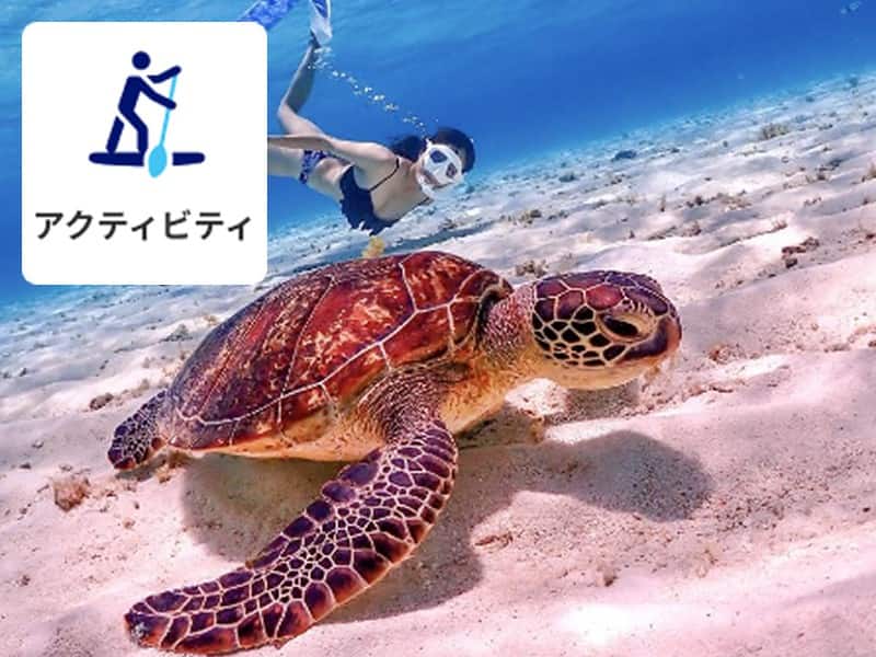 アクティビティ