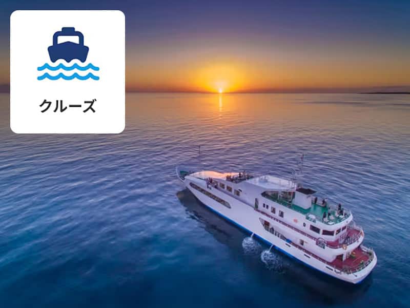 クルーズ