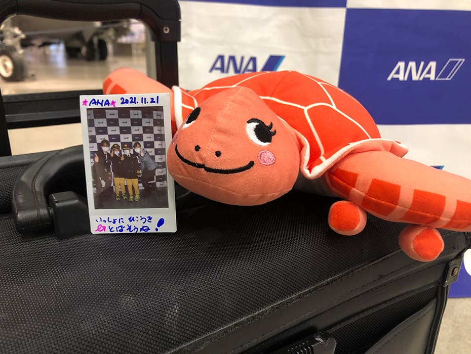 ホヌのぬいぐるみと写真