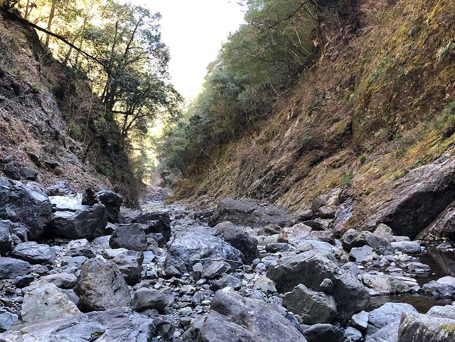清流宮川上流の写真
