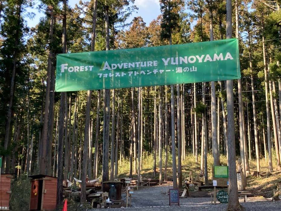 フォレストアドベンチャーの写真