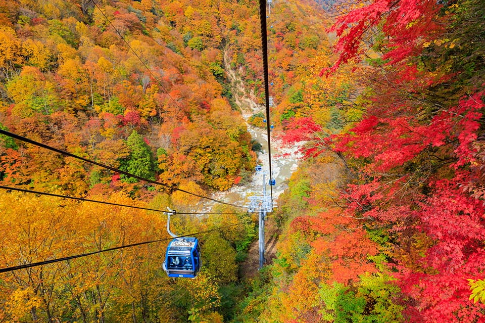 ANAで行くおすすめ国内旅行・ツアー