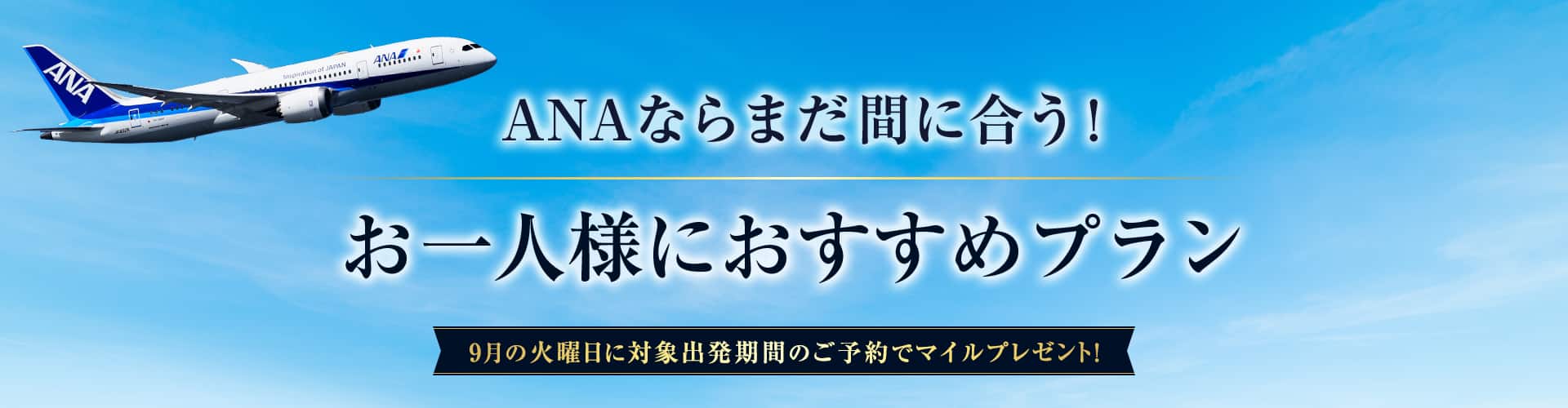 ANAならまだ間に合う!お一人様におすすめプラン9月の火曜日に対象出発期間のご予約でマイルプレゼント！