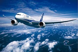 2024初日の出フライト|ANA 2024初日の出フライト|ANA
