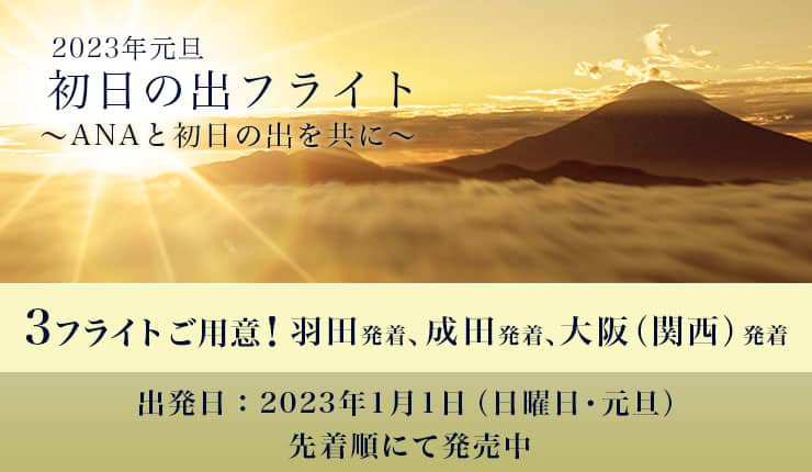 JAL 2023初日の出フライト オリジナルグッズ 水道管が破裂 おもちゃ