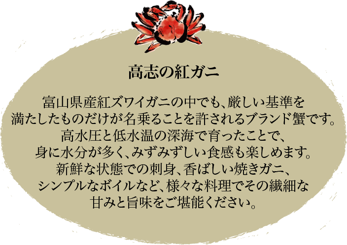 高志の紅ガニ 富山県産紅ズワイガニの中でも、厳しい基準を満たしたものだけが名乗ることを許されるブランド蟹です。高水圧と低水温の深海で育ったことで、身に水分が多く、みずみずしい食感も楽しめます。新鮮な状態での刺身、香ばしい焼きガニ、シンプルなボイルなど、様々な料理でその繊細な甘みと旨味をご堪能ください。