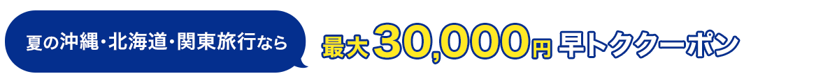 夏の沖縄・北海道・関東旅行なら　最大30,000円　早トククーポン