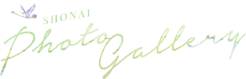 Shonai Photo Gallery