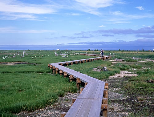 野付半島（別海町）