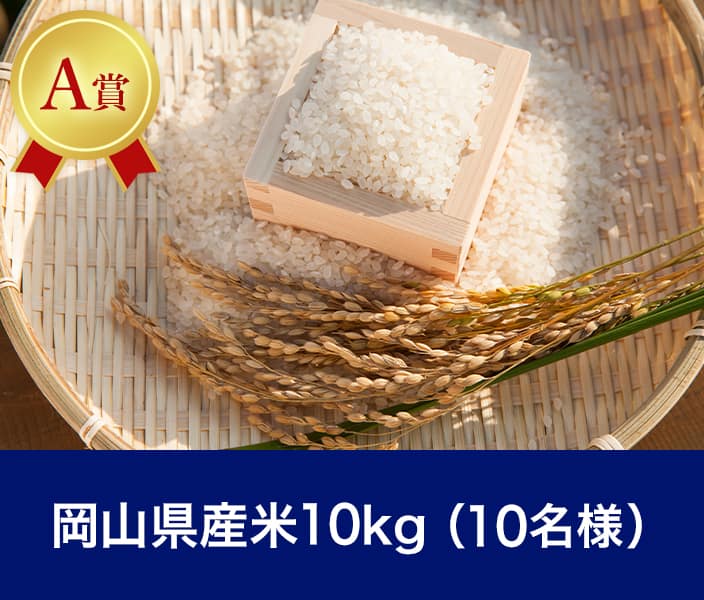 A賞：岡山県産米10kg（10名様）