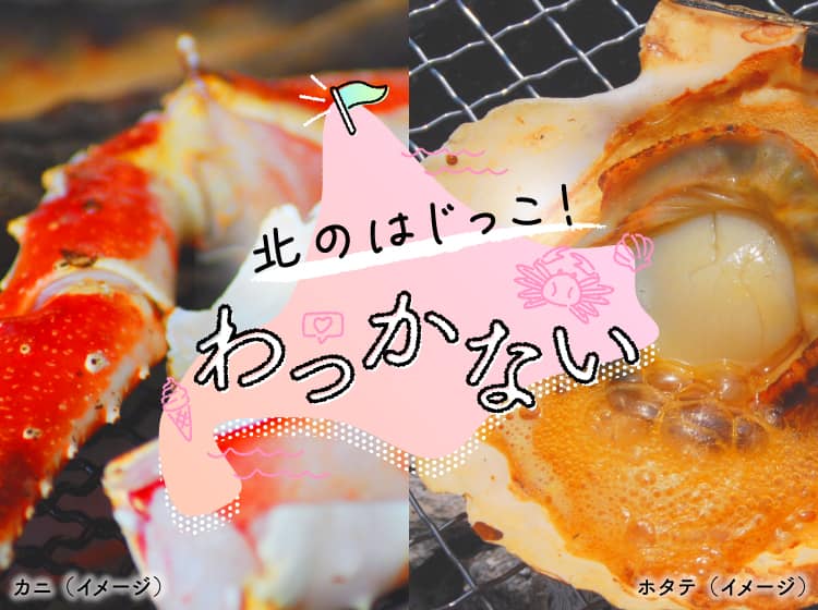 北のはじっこ！　わっかない